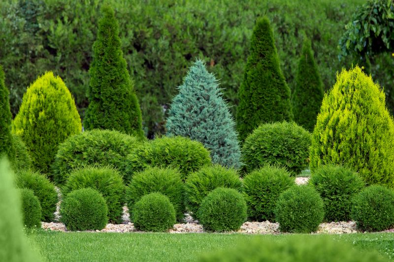 Shrub Care Service